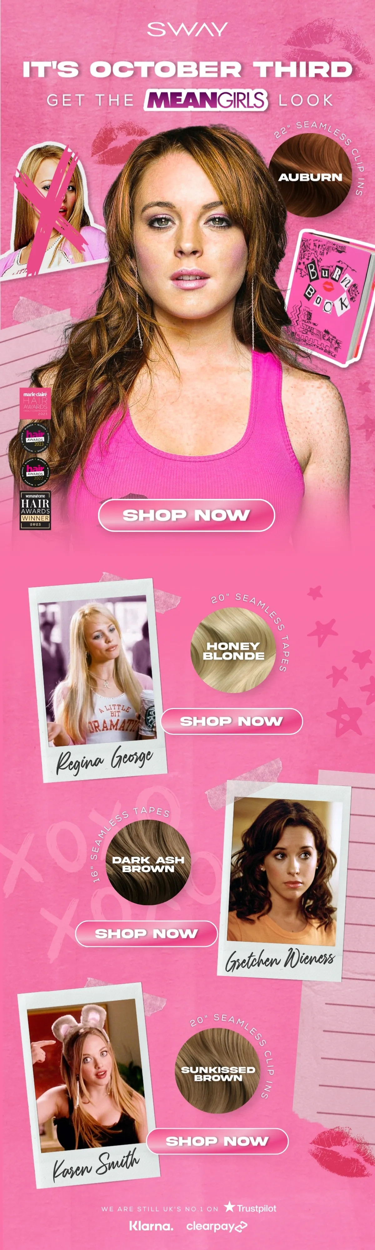 Sway Project Image 3